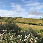 Il Giardino Di Elettra * Palmadula