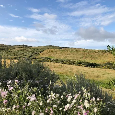 Il Giardino Di Elettra * Palmadula