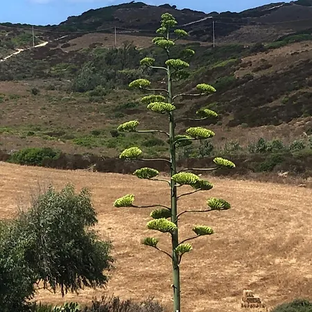 Il Giardino Di Elettra